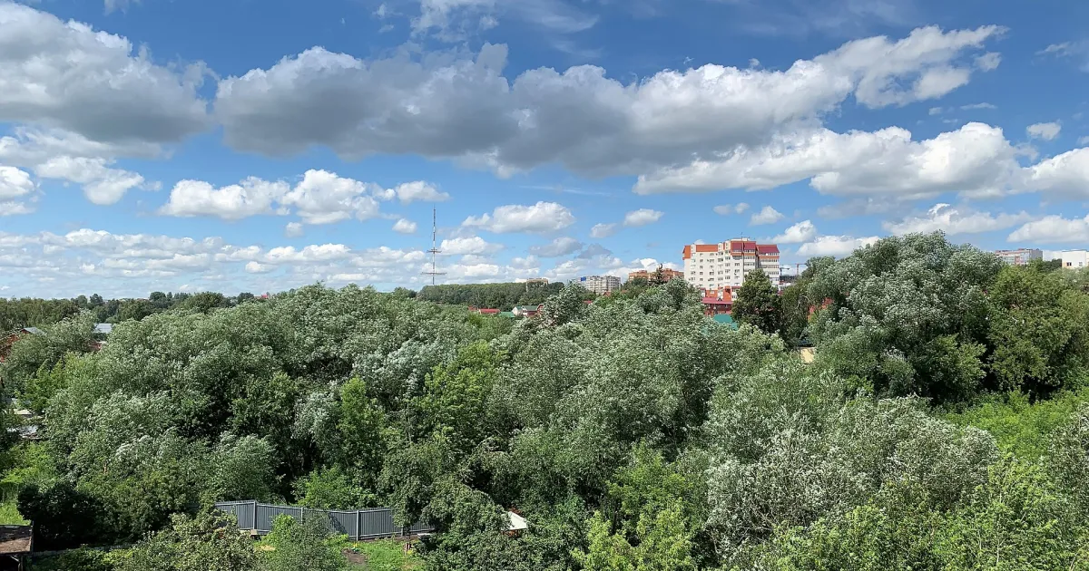 Саранск — вид аэропорта