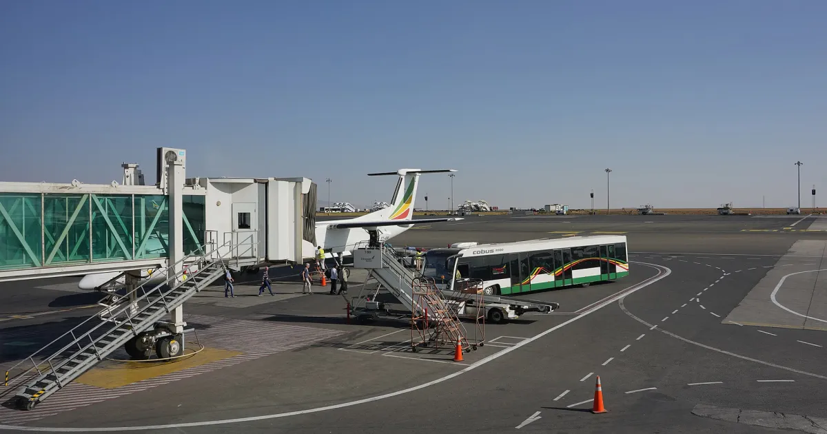 Pegasus Airlines